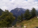 IMG00390-20110803-1131