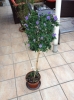 IMG_20120413_192509