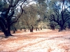 Kreta 1998 Tour 5 Foto 10.jpg