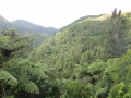 Neuseeland_2014_Tour_14_09