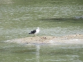 Neuseeland_2014_Tour_14_31