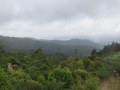 Neuseeland_2014_Tour_15_01