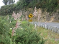 Neuseeland_2014_Tour_15_02
