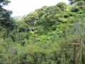 Neuseeland_2014_Tour_15_11