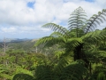 Neuseeland_2014_Tour_15_14