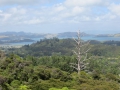 Neuseeland_2014_Tour_15_15
