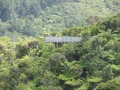 Neuseeland_2014_Tour_15_19