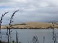 Neuseeland_2014_Tour_18_14