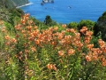 Neuseeland_2014_Tour_6_40