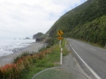 Neuseeland_2014_Tour_7_47