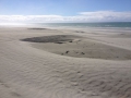 Neuseeland_2014_Tour_9_84