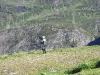 Jungsi - Norwegen 2010 481