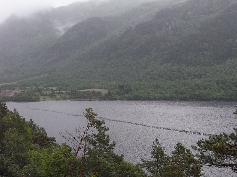 Jungsi - Norwegen 2010 072