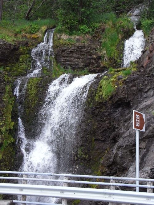 Jungsi - Norwegen 2010 104