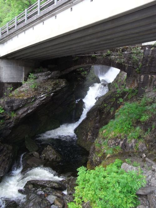 Jungsi - Norwegen 2010 106