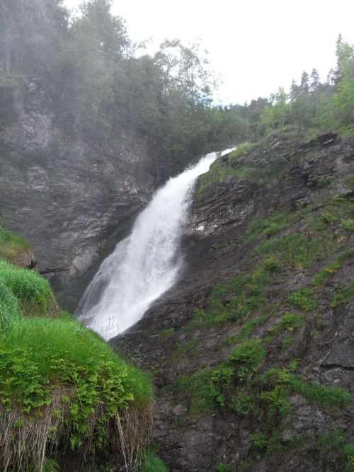Jungsi - Norwegen 2010 107