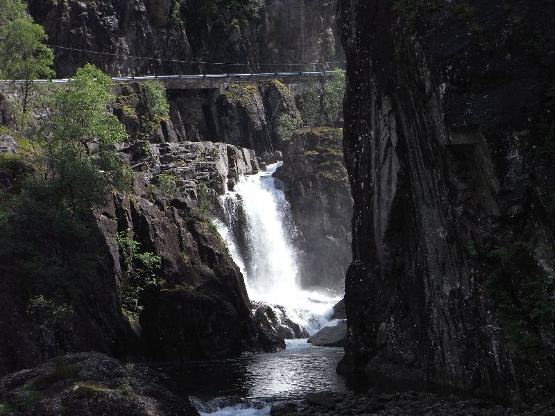 Jungsi - Norwegen 2010 110
