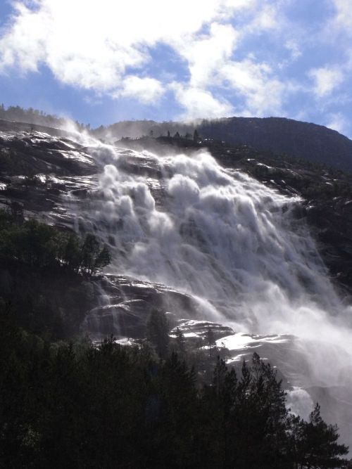 Jungsi - Norwegen 2010 138