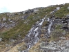 Jungsi - Norwegen 2010 332