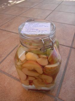 Likörproduktion – Zwischenstand