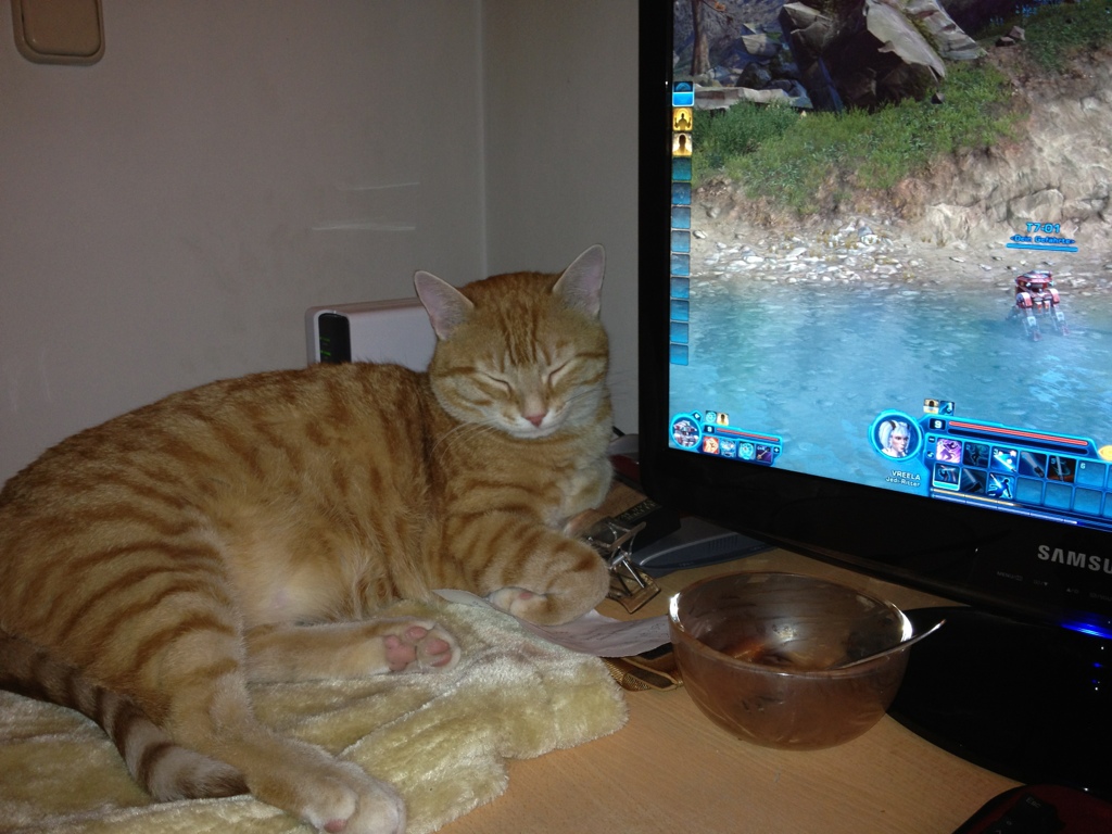 Computer-Kater :-)