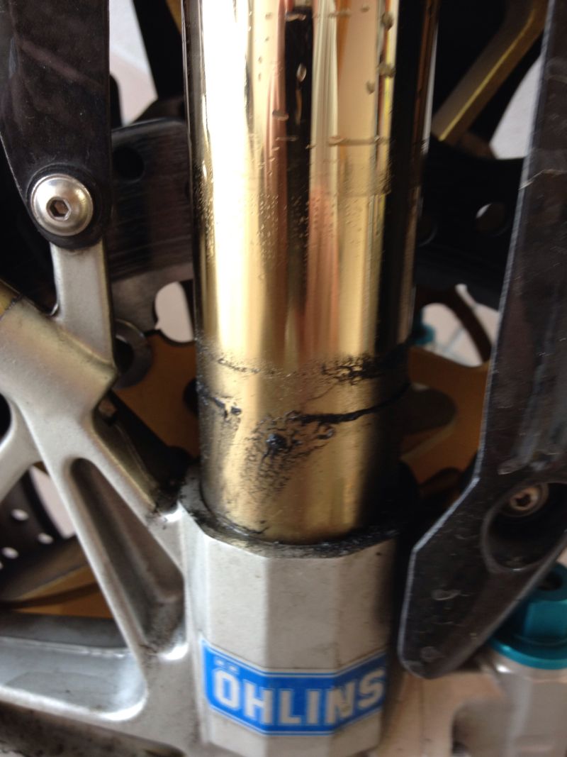 Die Primadonna „leckt“ ;-)