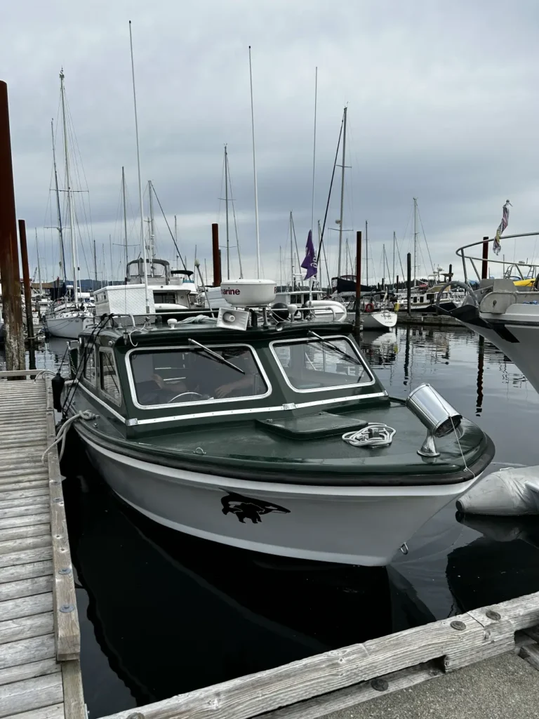 01 - Campbell River - Whale Watching