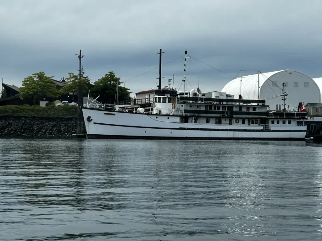 06 - Campbell River - Whale Watching