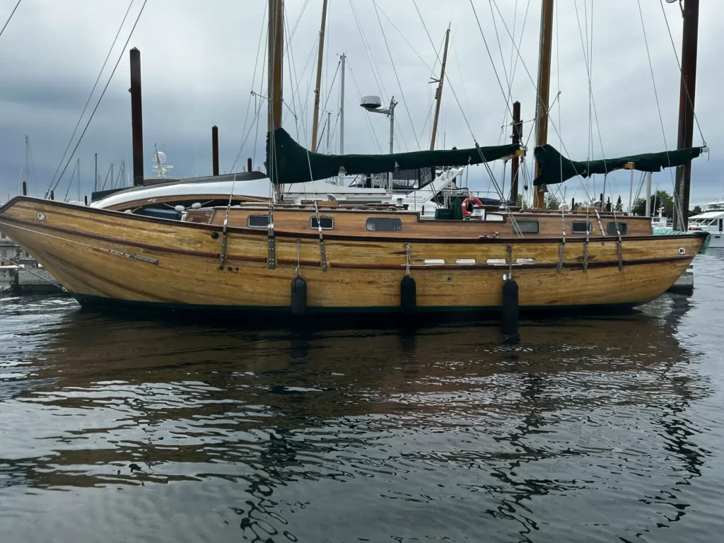 07 - Campbell River - Whale Watching