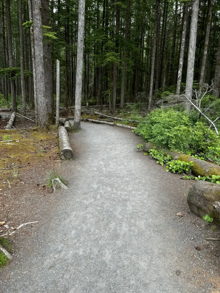 08 - Campbell River - Weg zu den Elk Falls