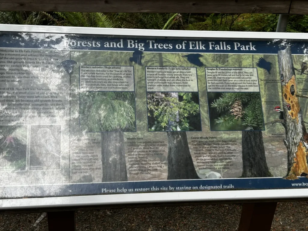 13 - Campbell River - Elk Falls