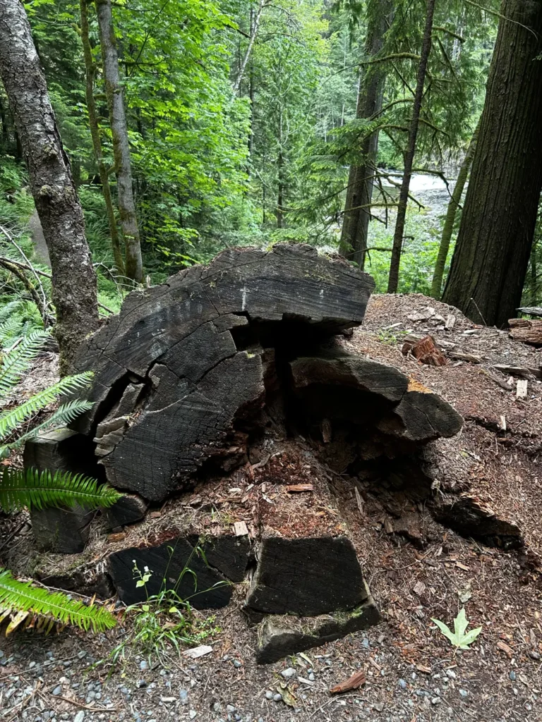 17 - Campbell River - Elk Falls