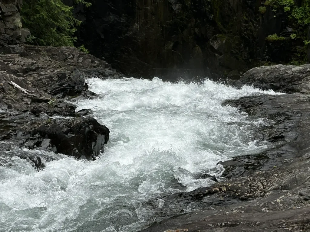 11 - Campbell River - Elk Falls