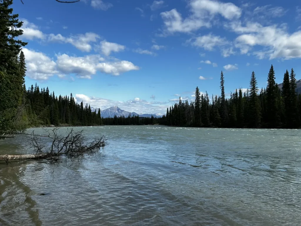 Athabasca River