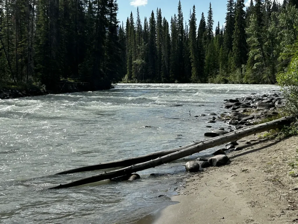 Whirlpool River
