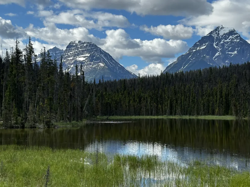 Leach Lake