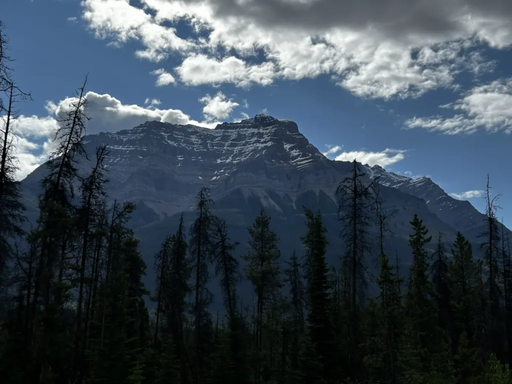 Leach Lake