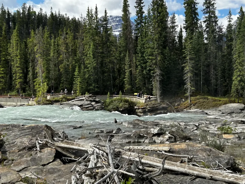 Athabasca Falls