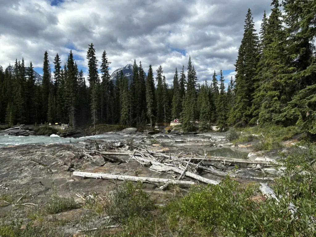 Athabasca Falls