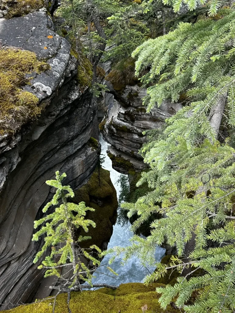 Athabasca Falls