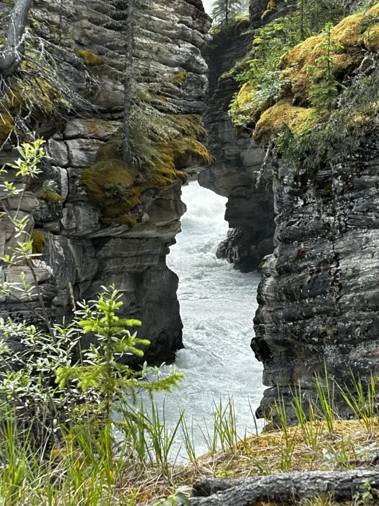 Athabasca Falls