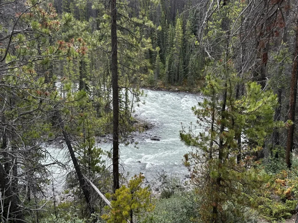 Sunwapta Falls