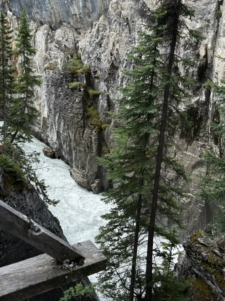 Sunwapta Falls