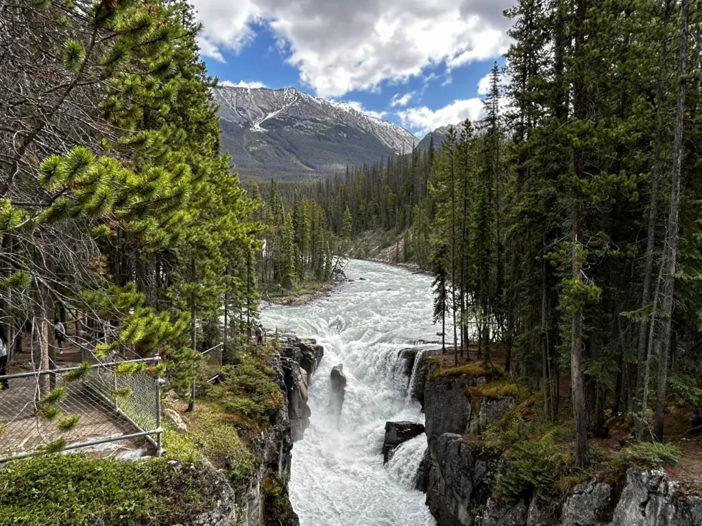 Sunwapta Falls