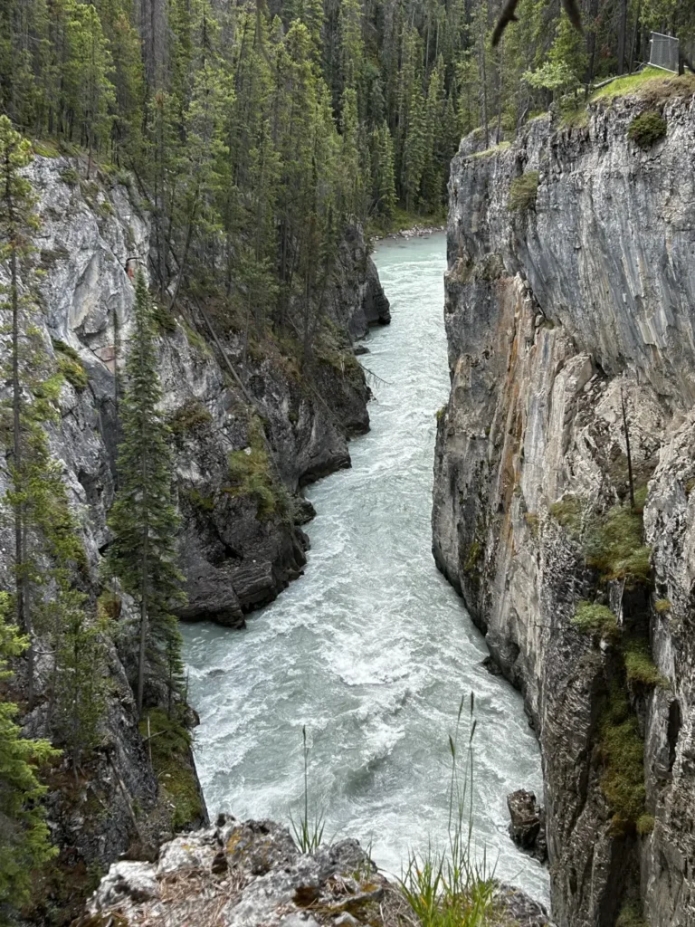 Sunwapta Falls