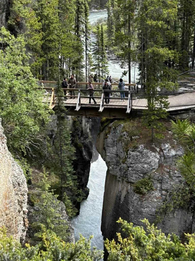 Sunwapta Falls
