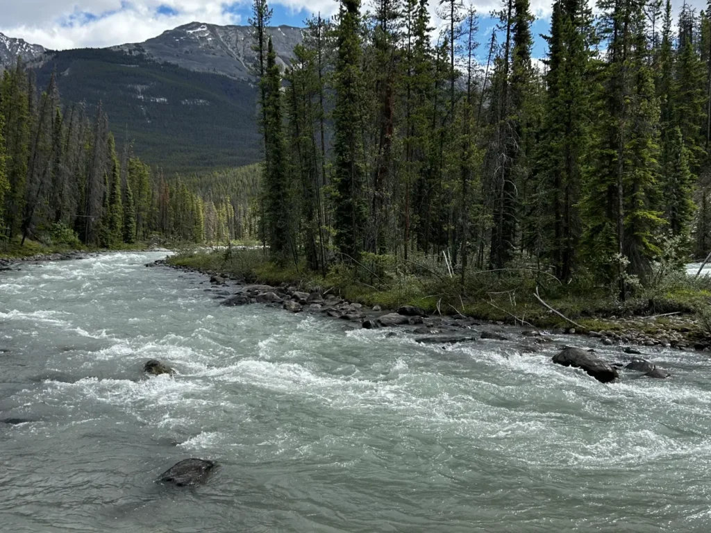 Sunwapta Falls
