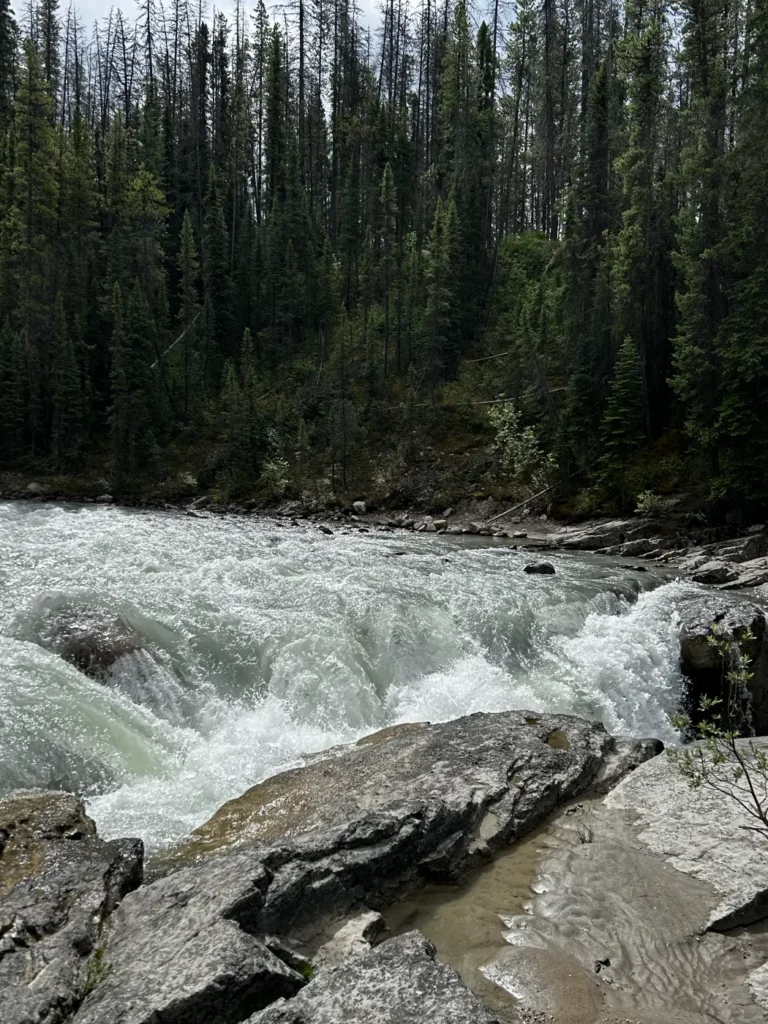 Sunwapta Falls