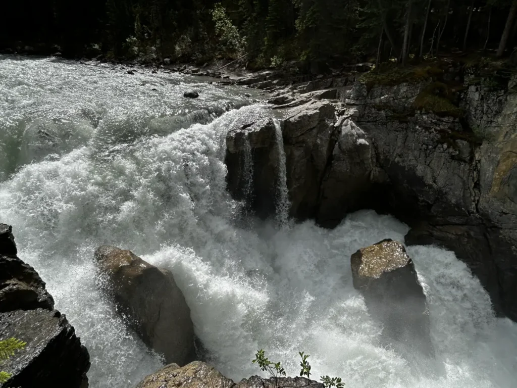 Sunwapta Falls