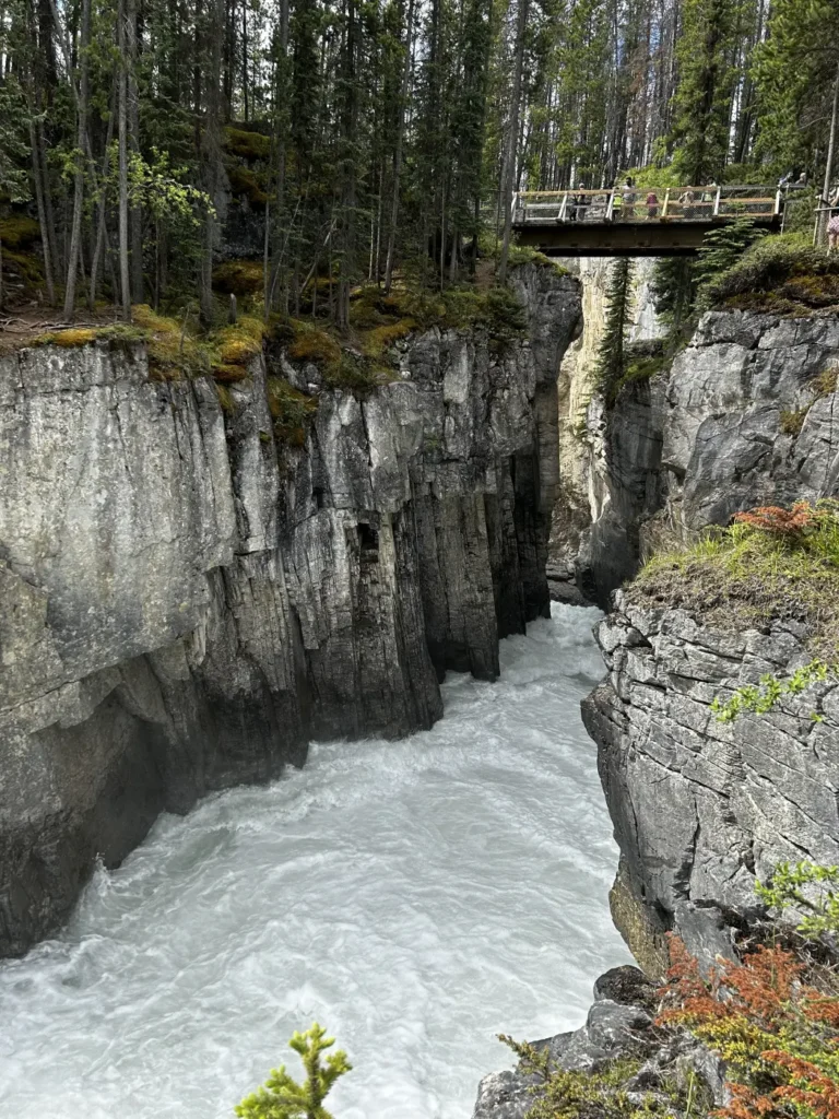 Sunwapta Falls